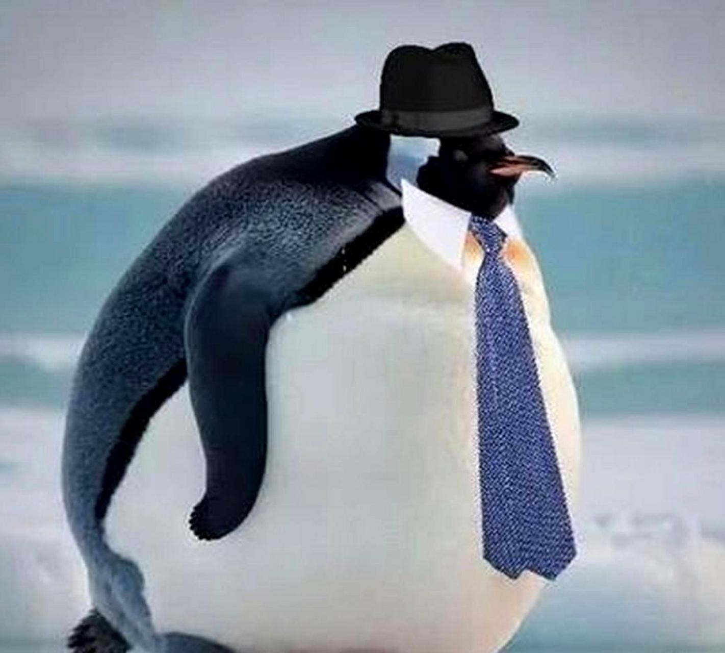 真正的企鹅人与虚假的企鹅人对比.