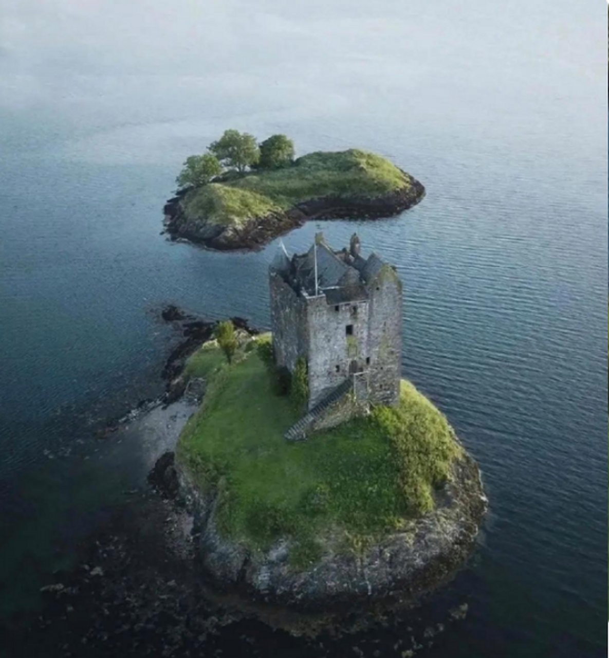 如果给你一笔巨款,让你在这个岛上生活5年,只能带三样东西,你会带什么