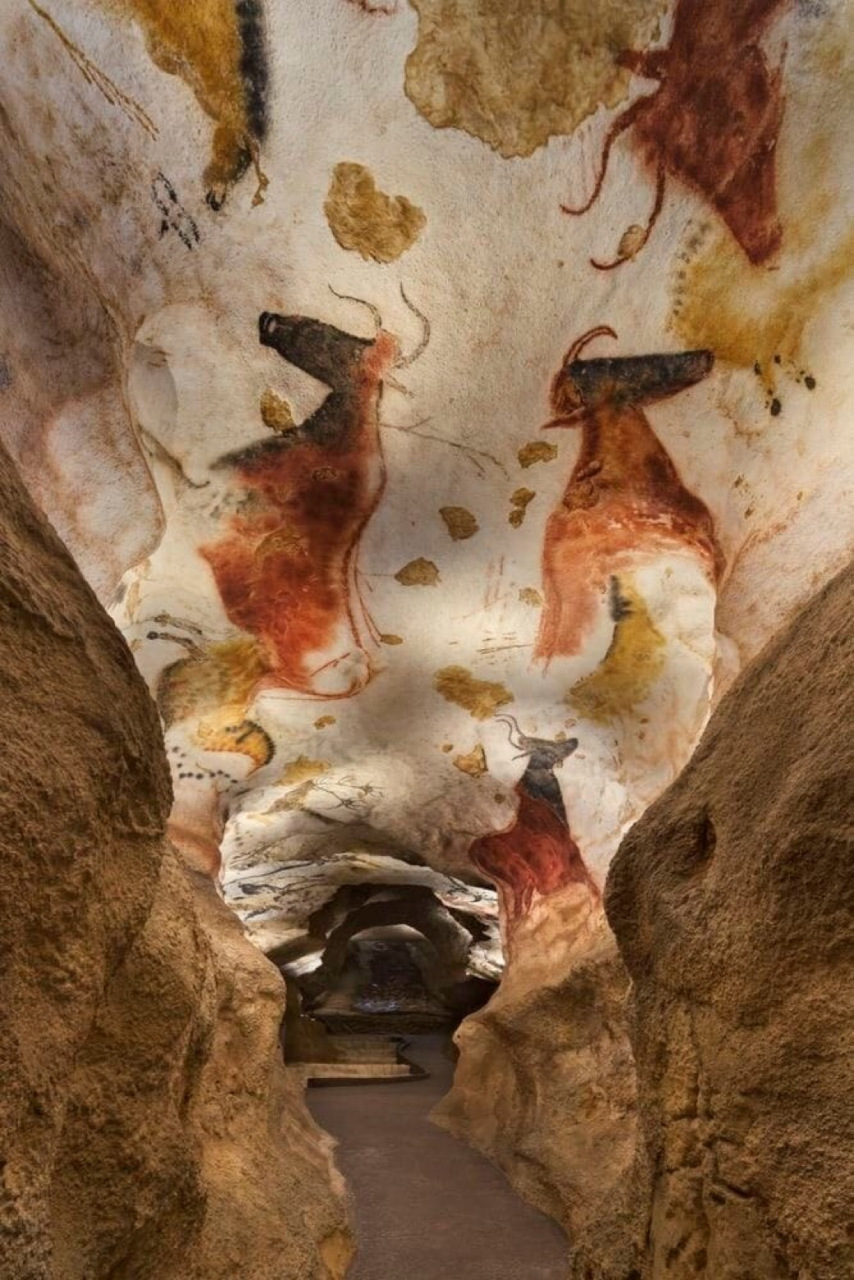 拉斯科洞穴是多尔多涅(法国)的一个洞穴,在这里发现了重要的洞穴和旧