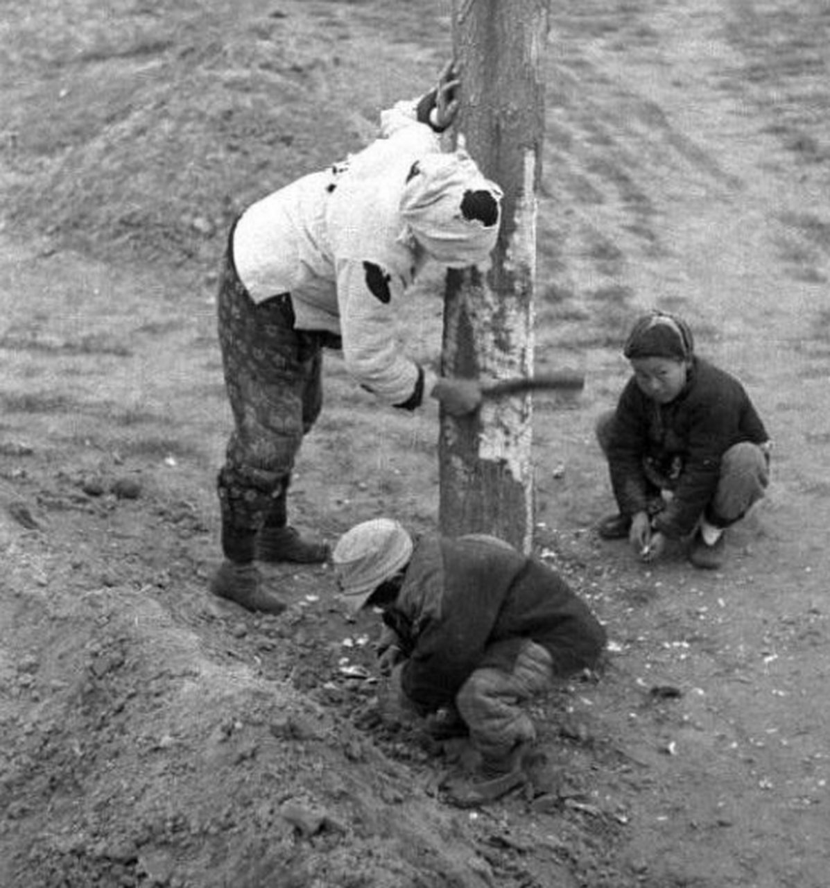 1942河南大饥荒真实影像,被禁播70年,啃树皮吃野草饿死三百万人 自