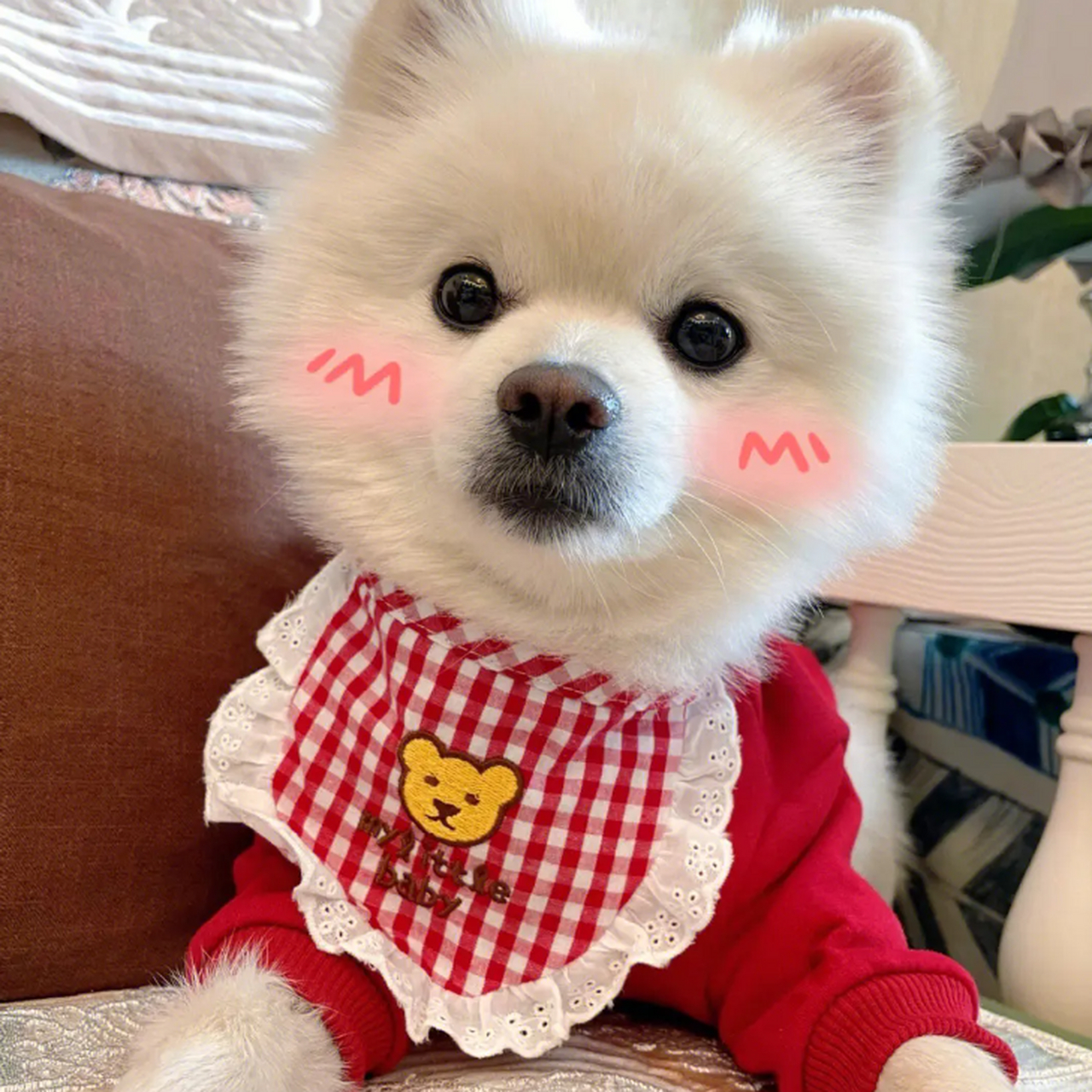 我家旺仔,想要的有没有