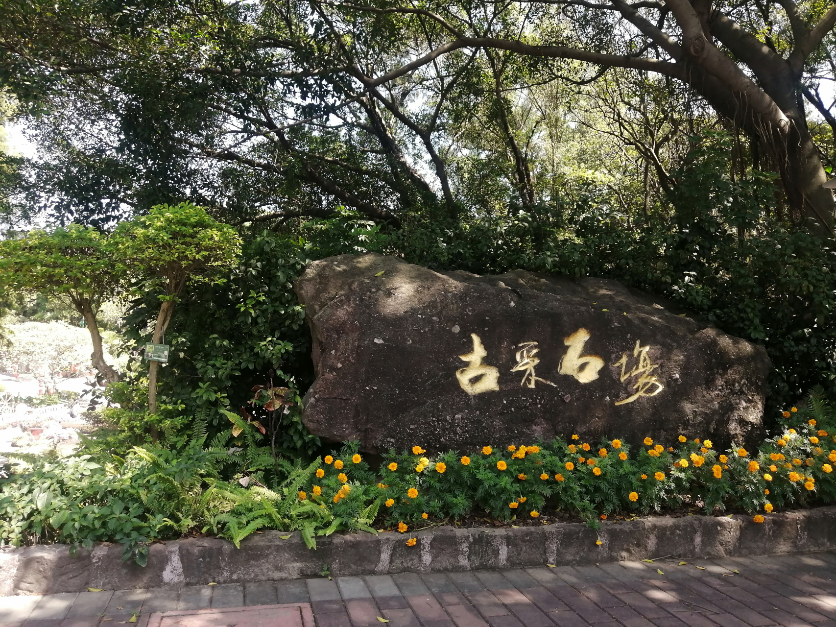 番禺莲花禅寺图片