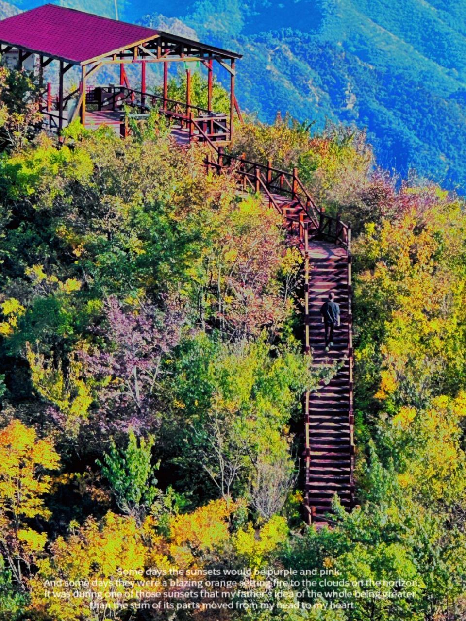 北京最美,云端栈道  猕猴谷风景区位于北京市昌平区十三陵镇大岭沟村