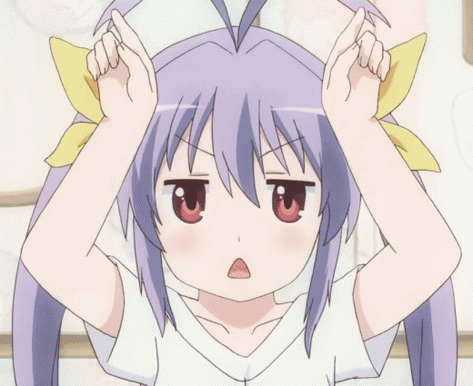 喵帕斯!