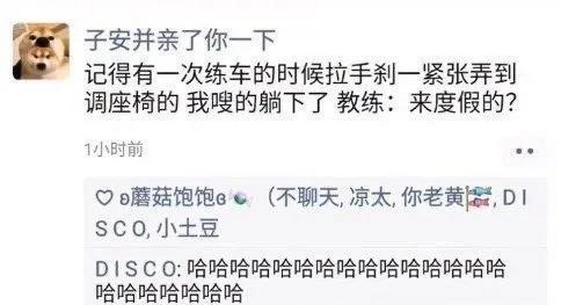 gif创作人# 轮阴阳怪气还得看教车教练