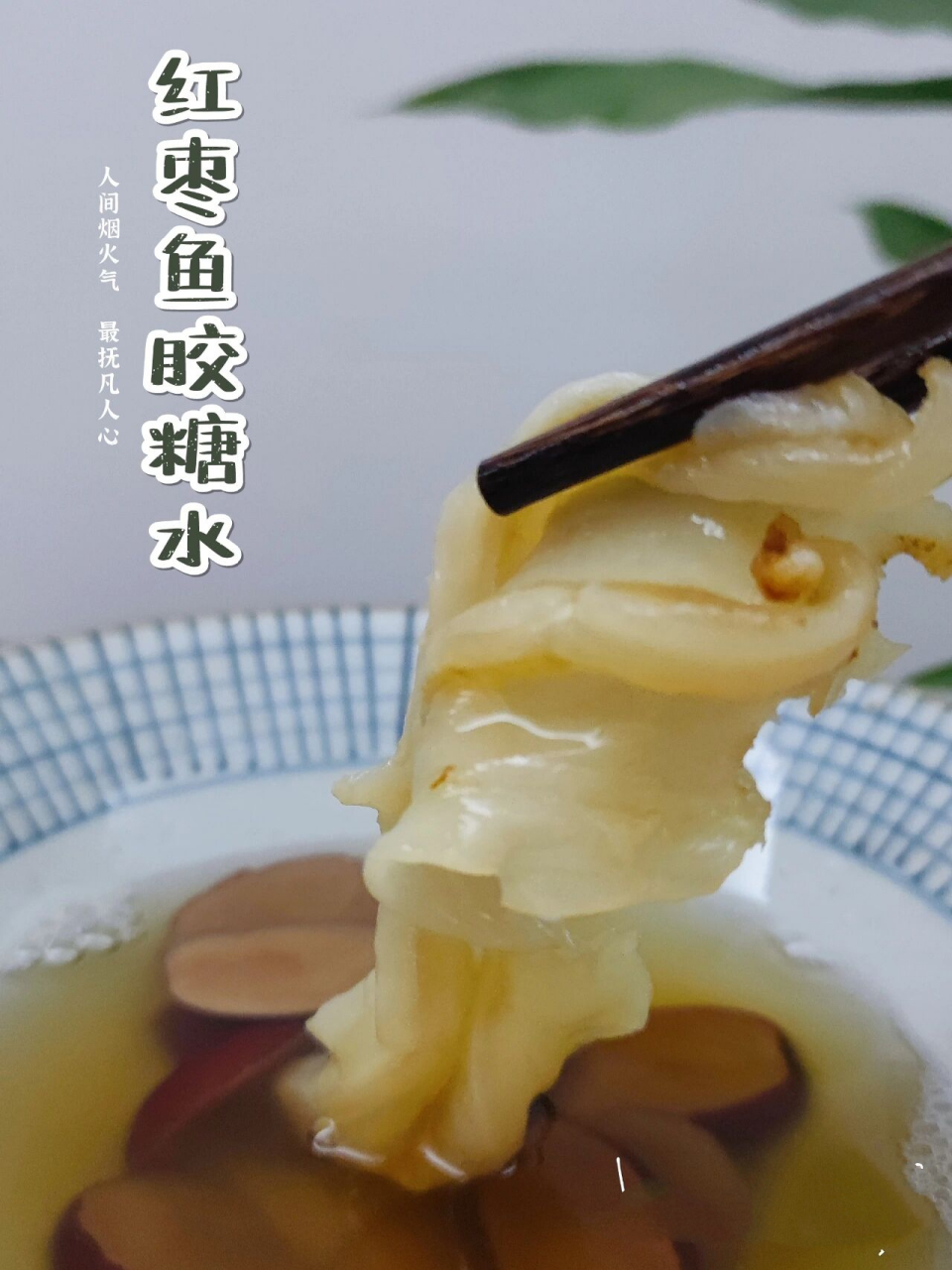 食养|红枣花胶糖水,15分钟的鲜炖鱼胶	"花胶即鱼胶,系鱼鳔的干制品