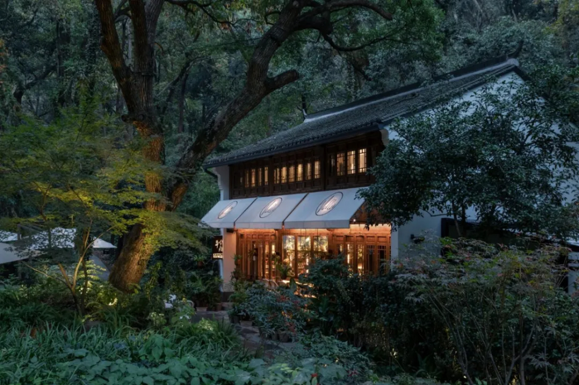 过云山居:松阳西坑村,有一座峡谷一片云海,有花有茶,有蝴蝶翩翩,素雅