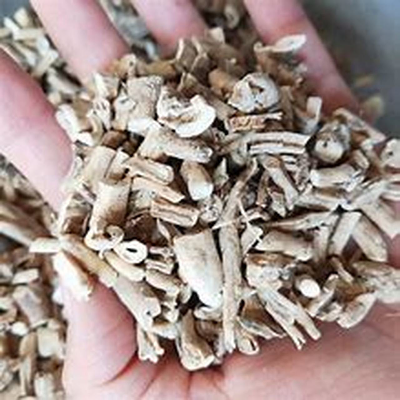 皮肤科常用的一味中药,祛风止痒 清热解毒  中医治疗皮肤病很多方剂