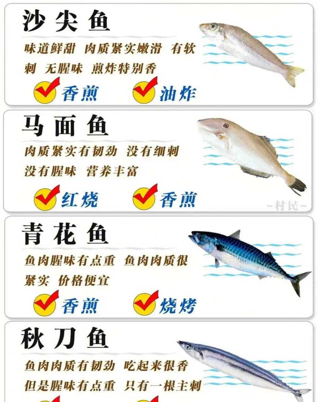 食用海鱼名字图片