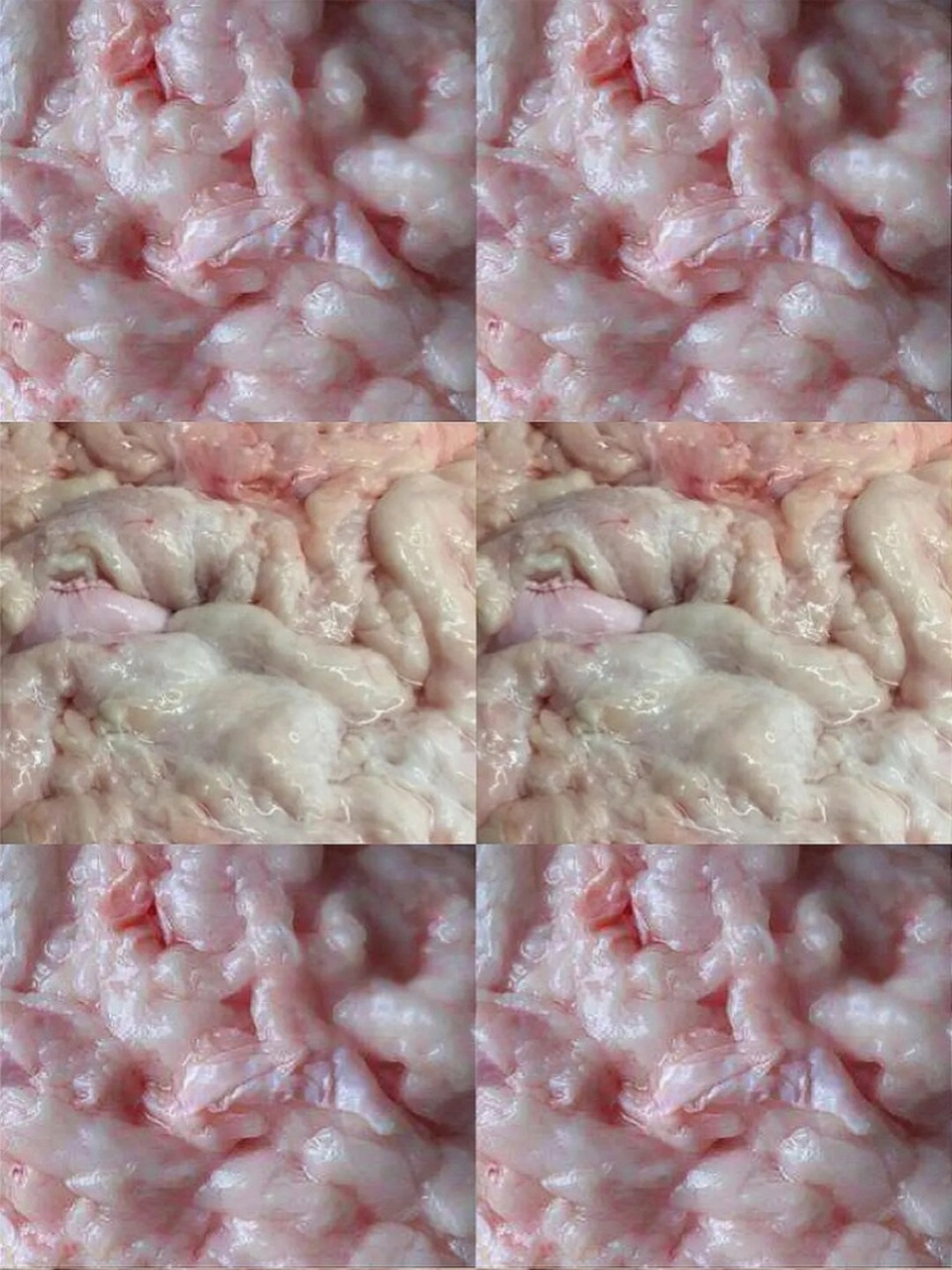 高强度抑制食欲壁纸  生活就像一部未完待续的电影,越往后,剧情越是
