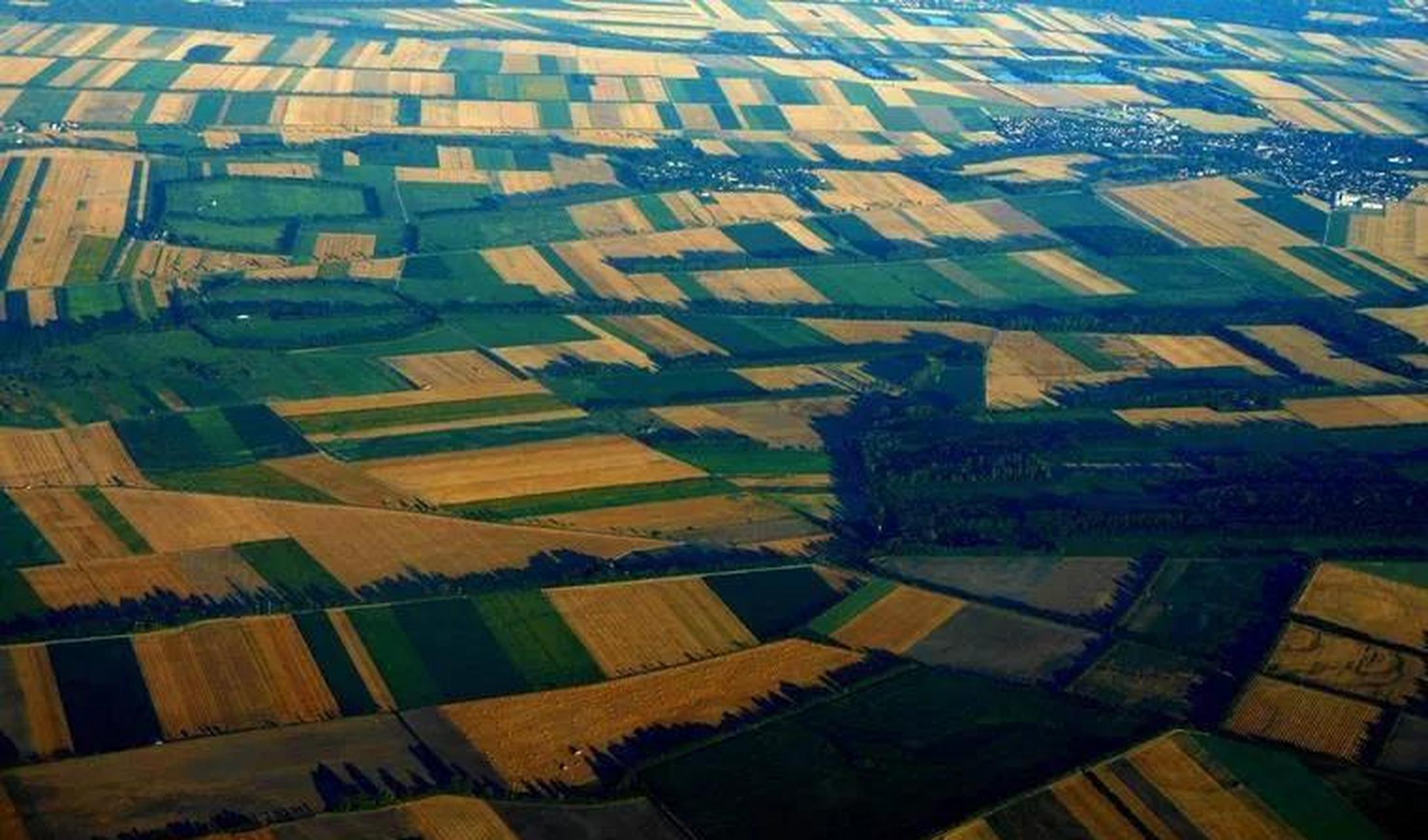 第一名:新疆,平原面积37.