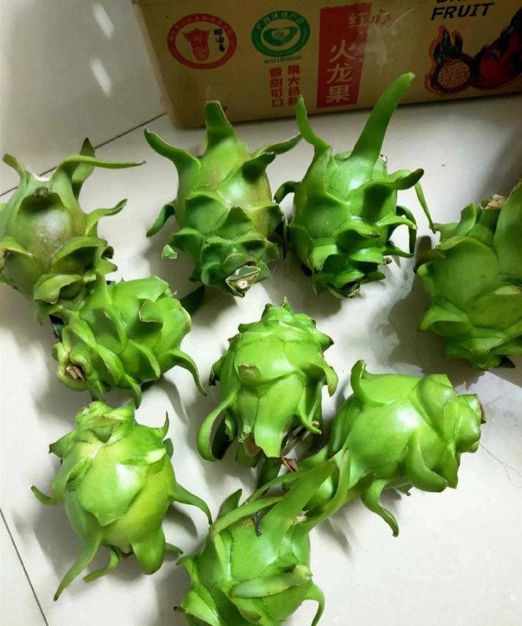 绿色的火龙果,味道还不错