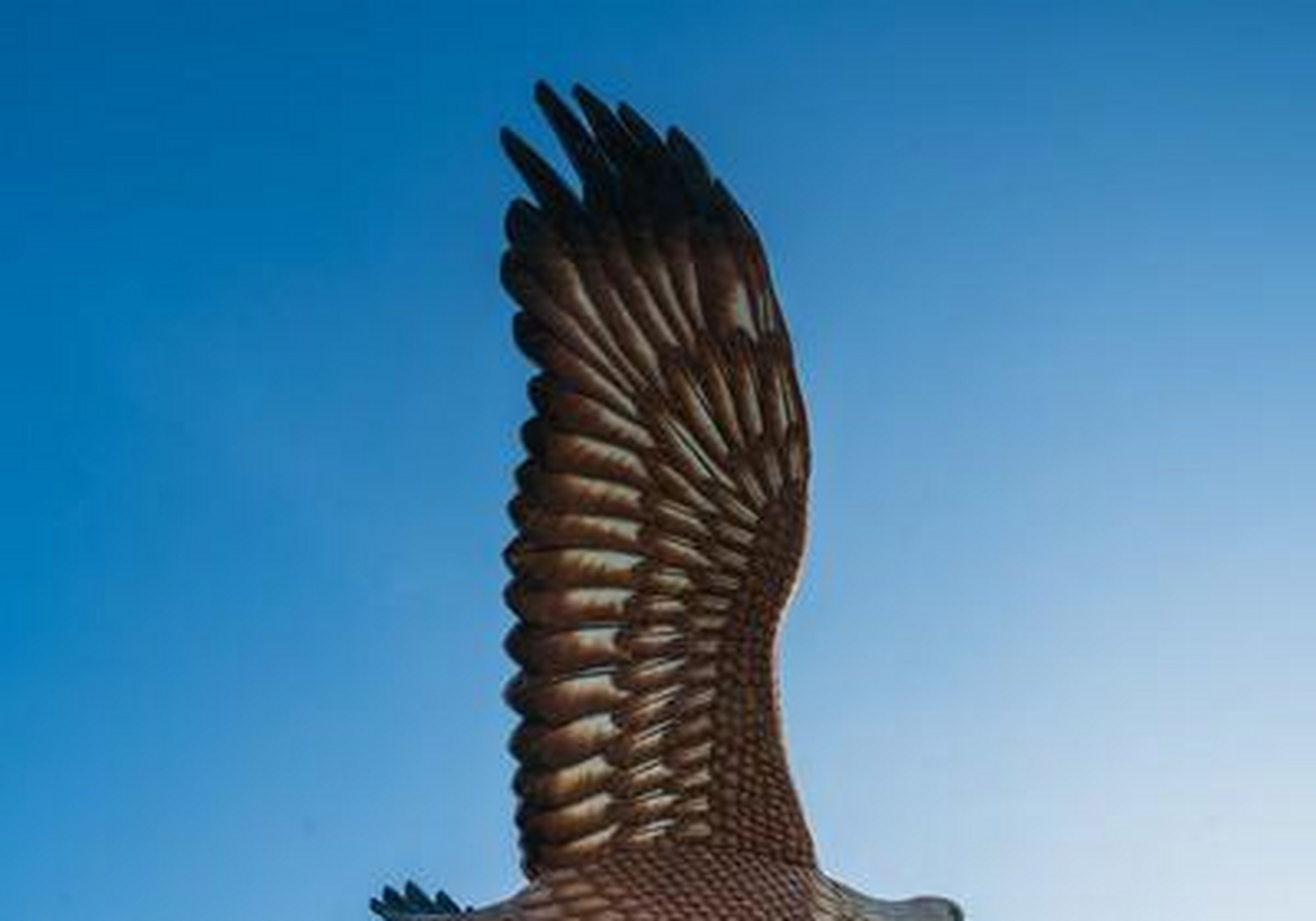 兰卡威的标志性建筑,除了天空之桥外,还有巨鹰广场巨大的老鹰.