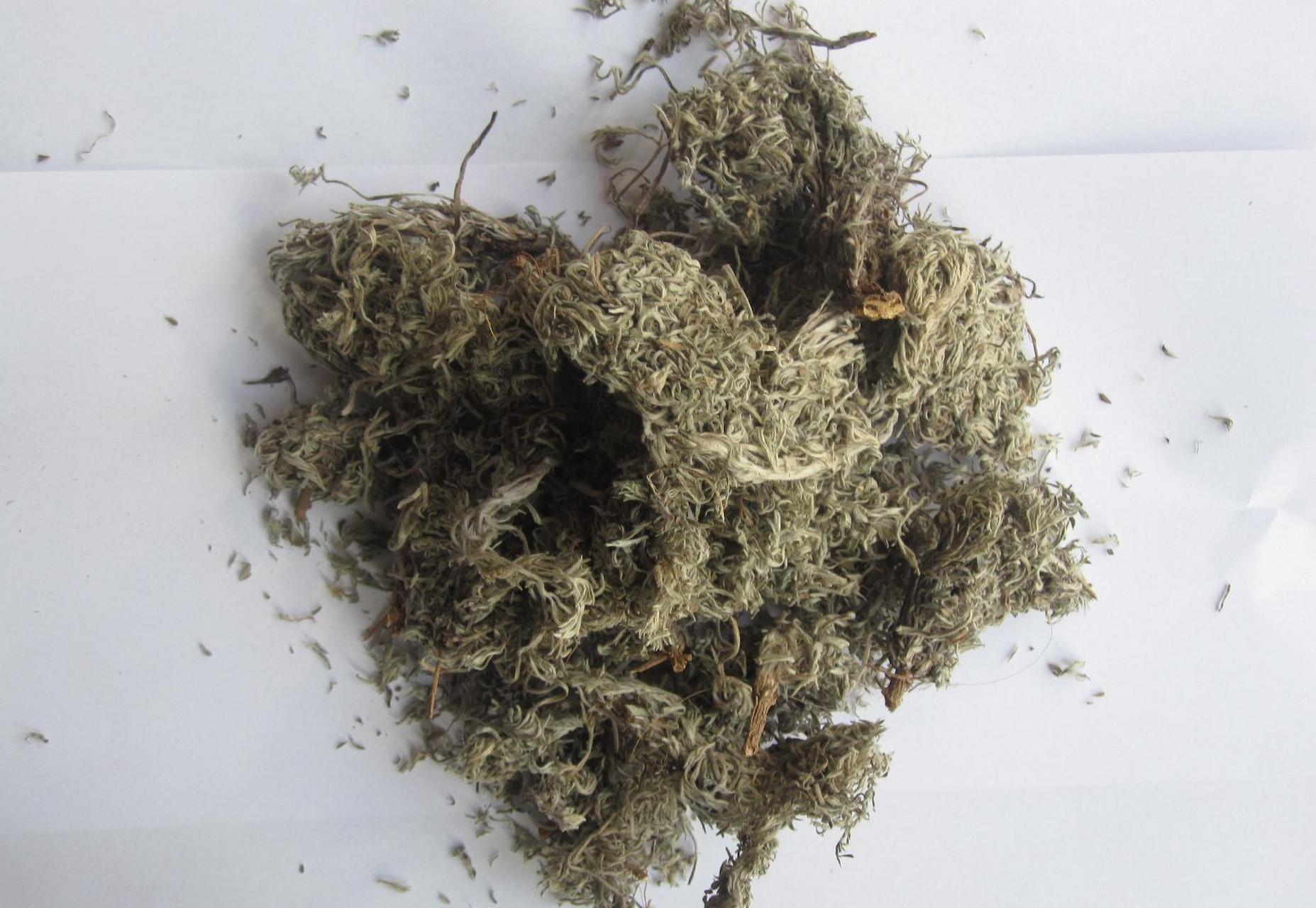 茵陈加一宝,天然转阴草,乙肝没处跑.
