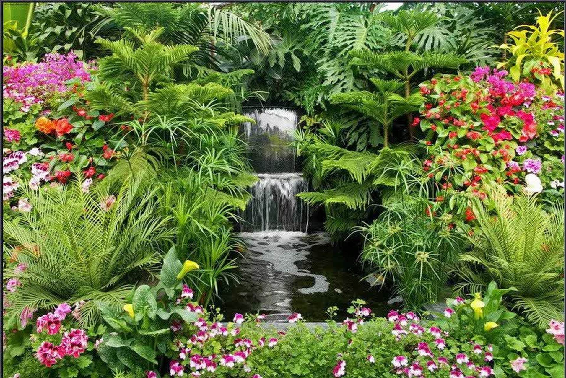 公园里的景色,花草树木,鸟语花香,真是美极了.