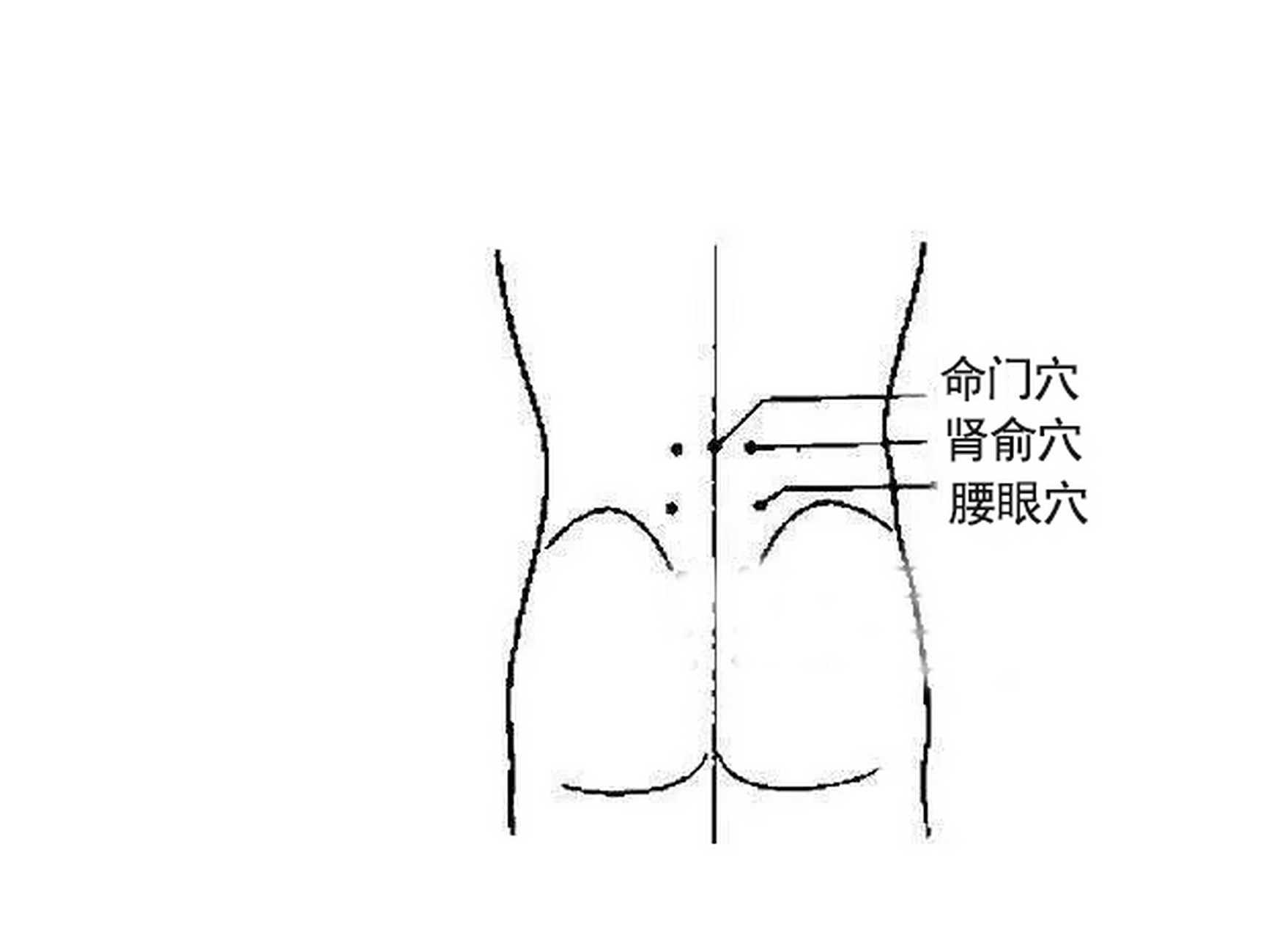 多揉这几个穴位可以养肾护腰: 1,肾俞穴——双手搓热贴在后背腰部