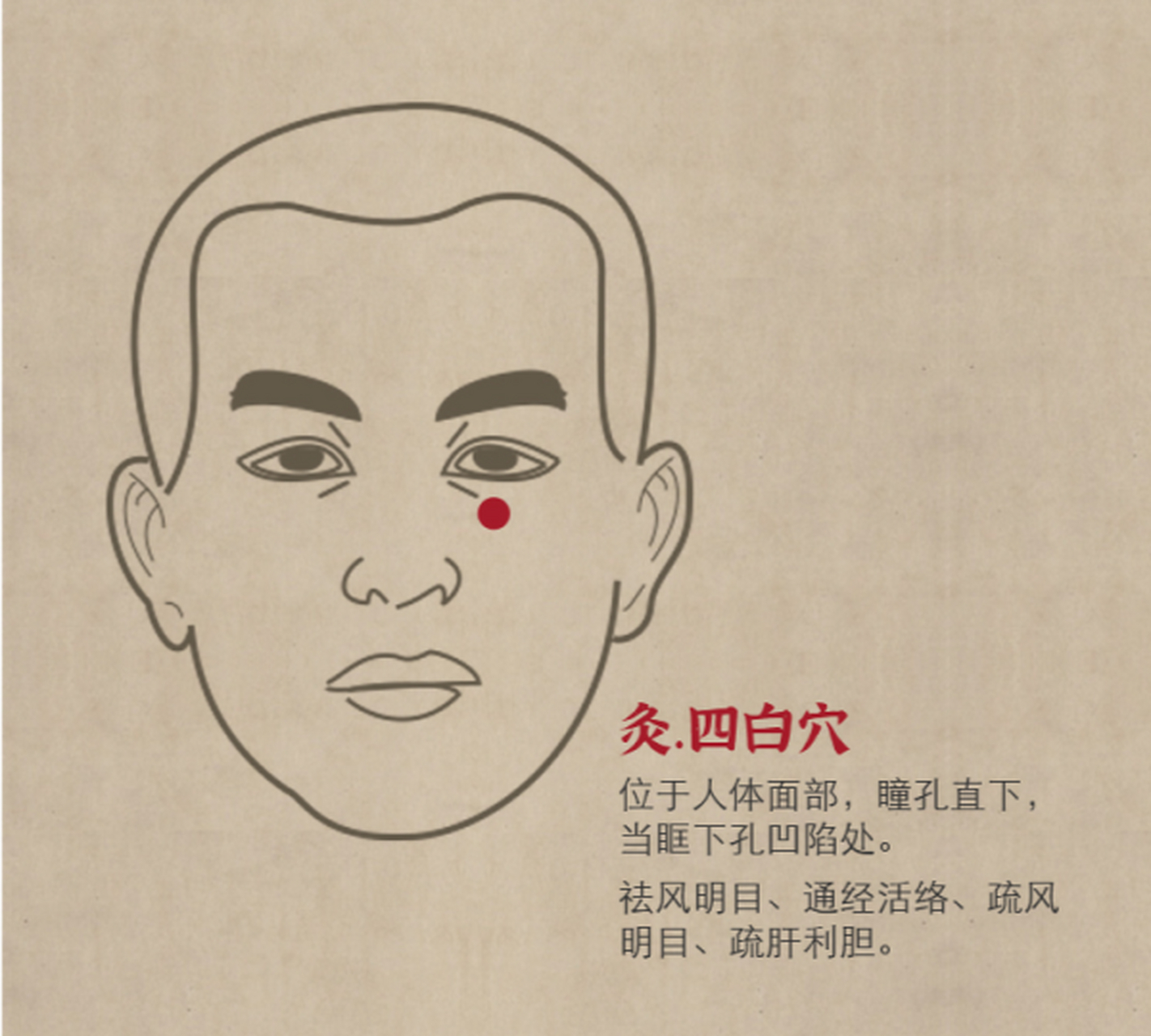 四白穴有祛风明目,通经活络,疏风明目,疏肝利胆的功效和作用.
