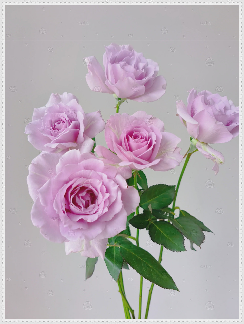 它不仅仅是一种气味,更是一种享受.