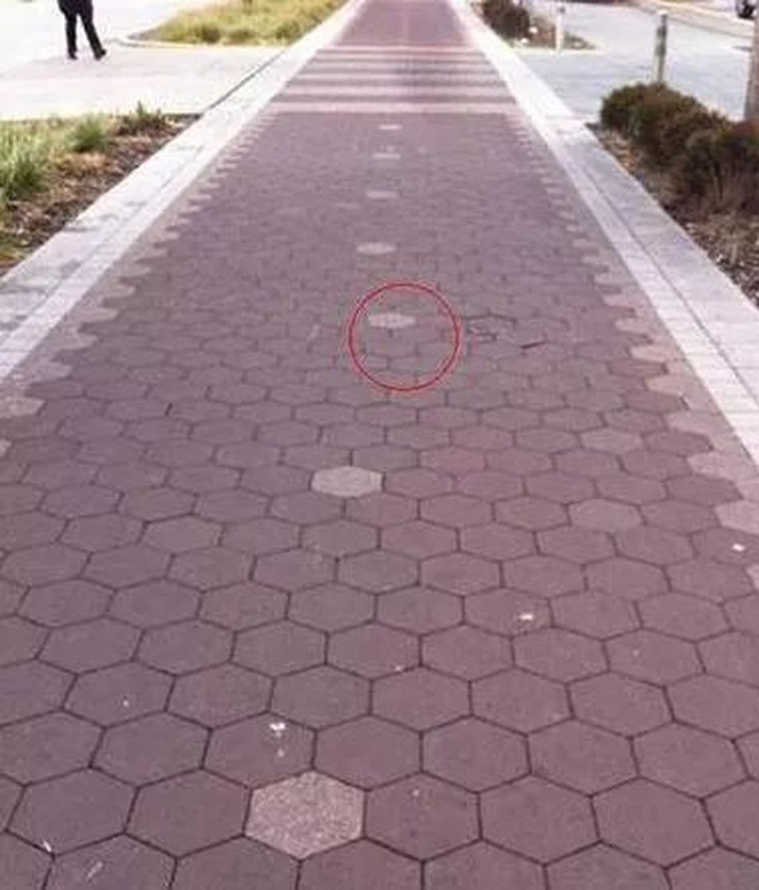 强迫症患者表示完全不能忍#搞笑图片