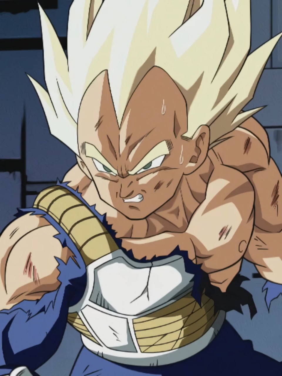 爆衣的赛亚人,肌肉魅力十足#动漫##二次元# #龙珠