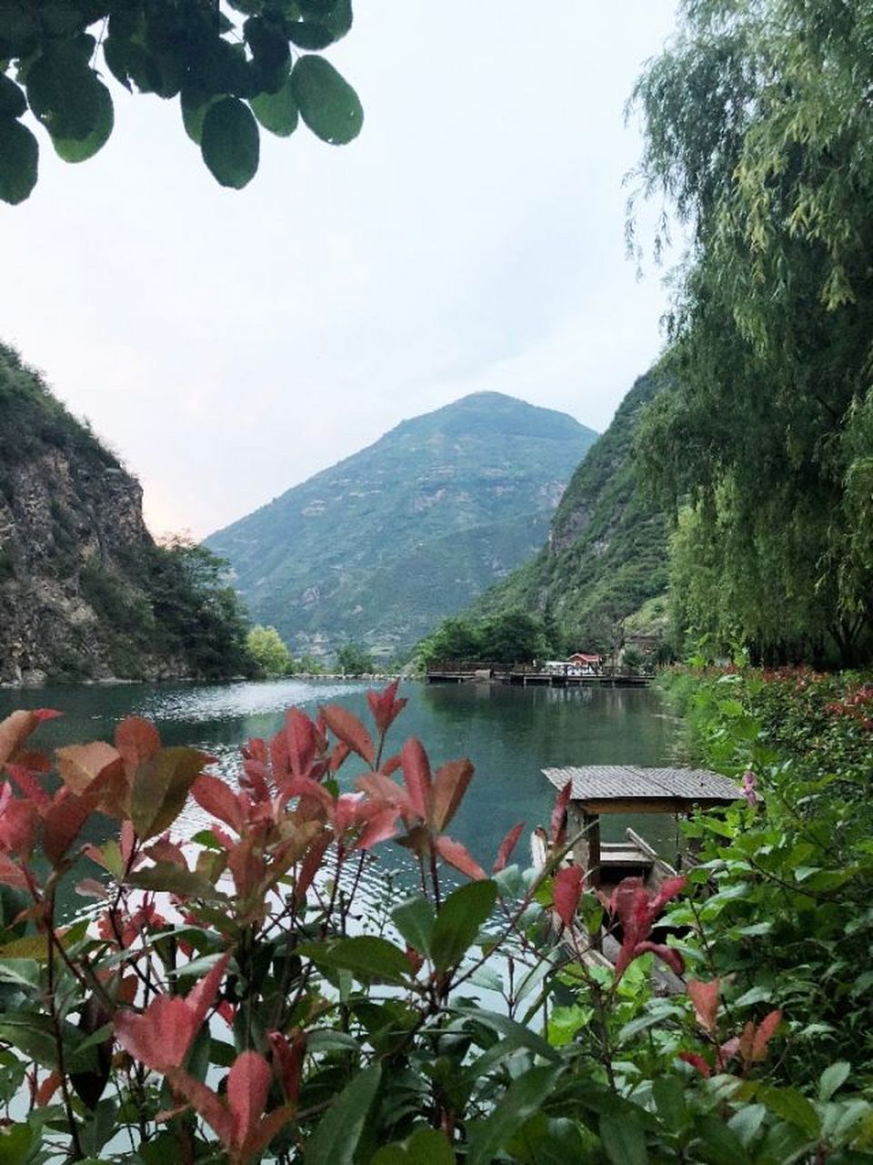 五一去哪玩儿#姚寨沟风景区——万象洞——祥宇油橄榄工业旅游景区