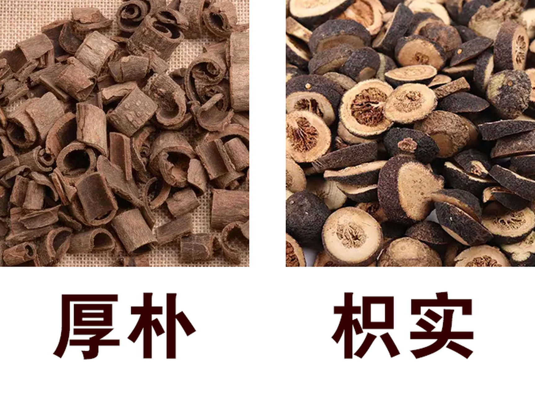 张仲景常用厚朴和枳实,作用很相近,但还是有所不同  大承气汤里有两味