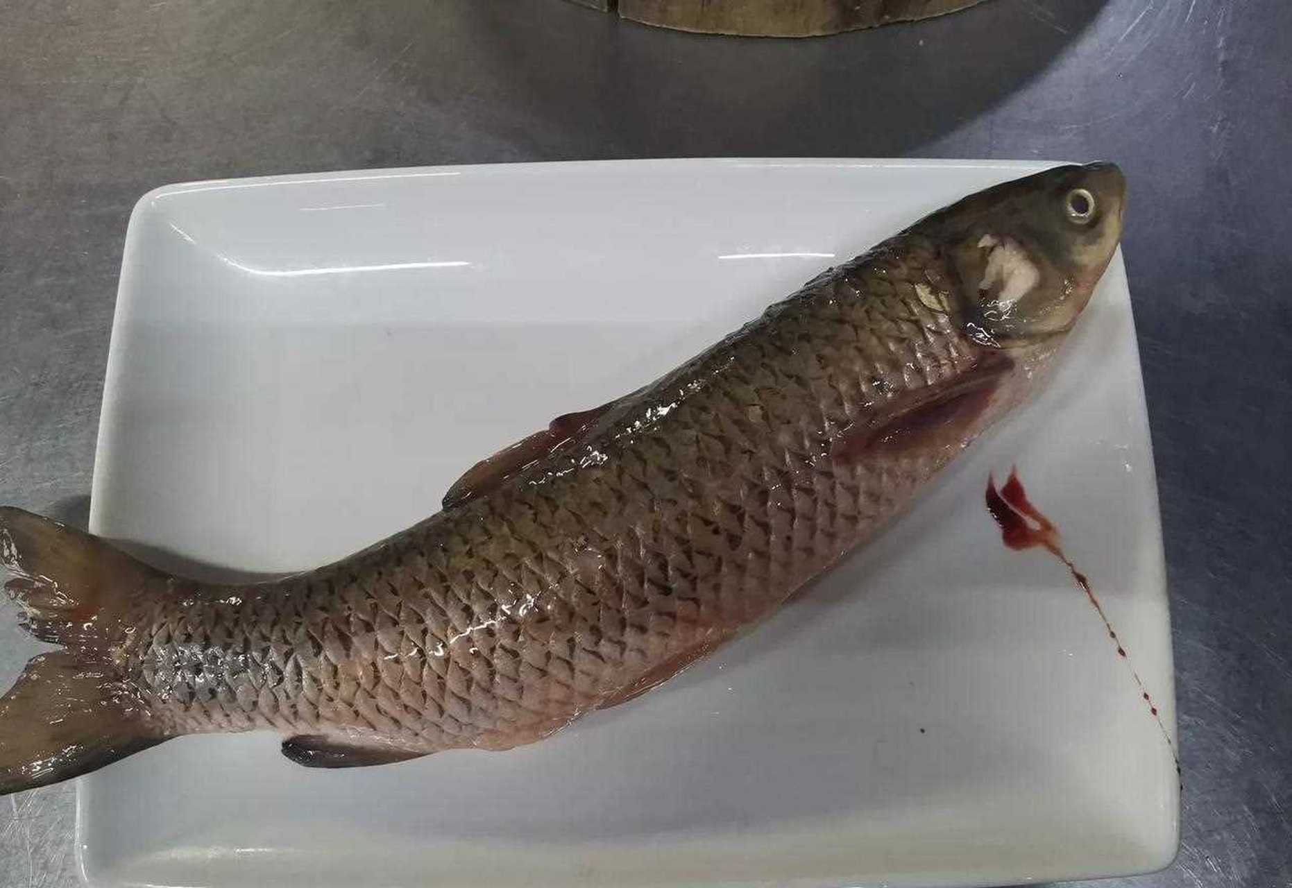 松鼠鱼[惊哭] 松鼠鱼是江苏省传统名菜之一,属苏菜.