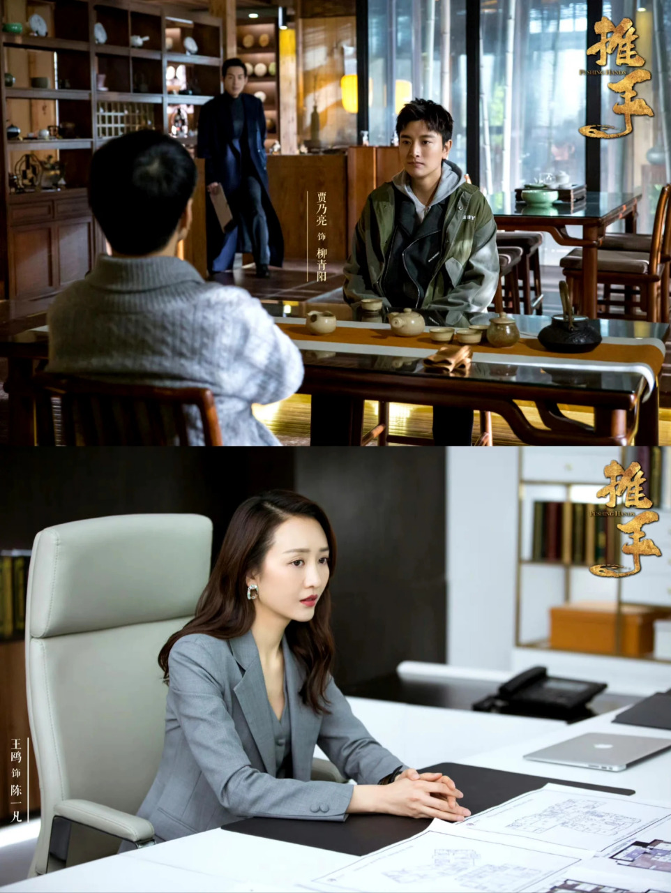 都市情感剧——推手 这部电视剧看起来有着令人期待的剧情,围绕柳青阳