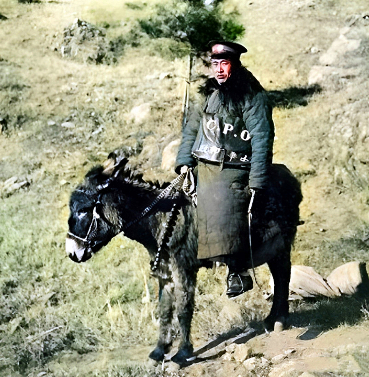 1920年代,民国邮差的小毛驴比美国邮差的小电驴环保多了.