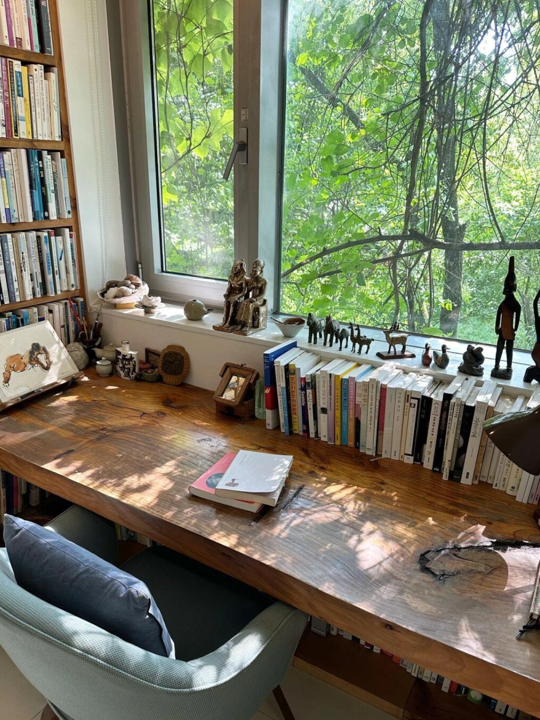 书香四溢的读书角落,让你沉浸在知识的海洋中