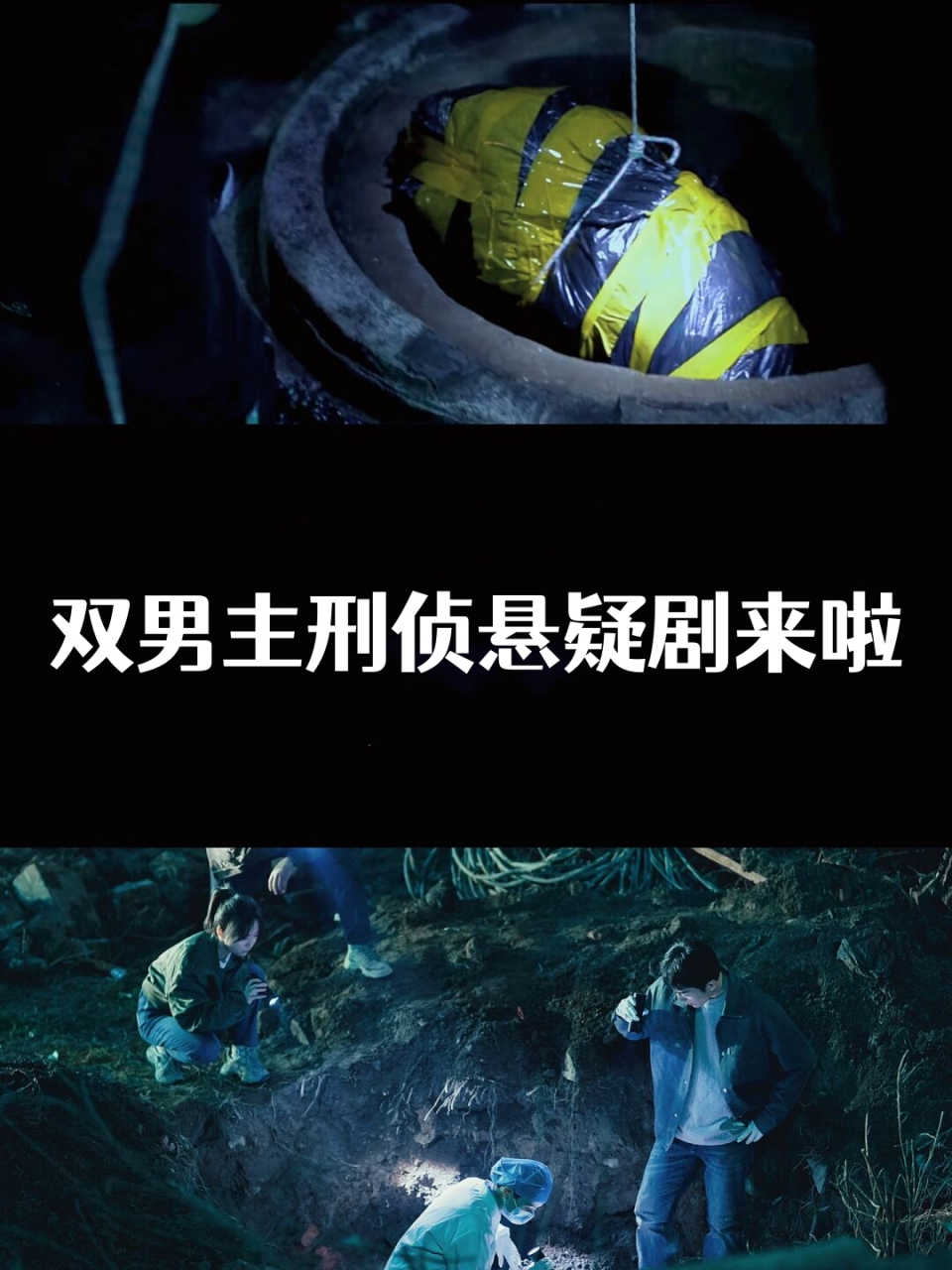 双男主刑警推理破案剧