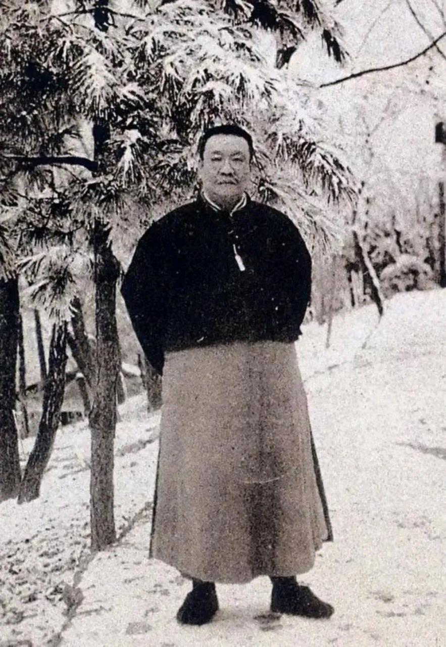 1917年,民国大佬谭延闿母亲去世,出殡时因其母亲是小妾地位地下,族人