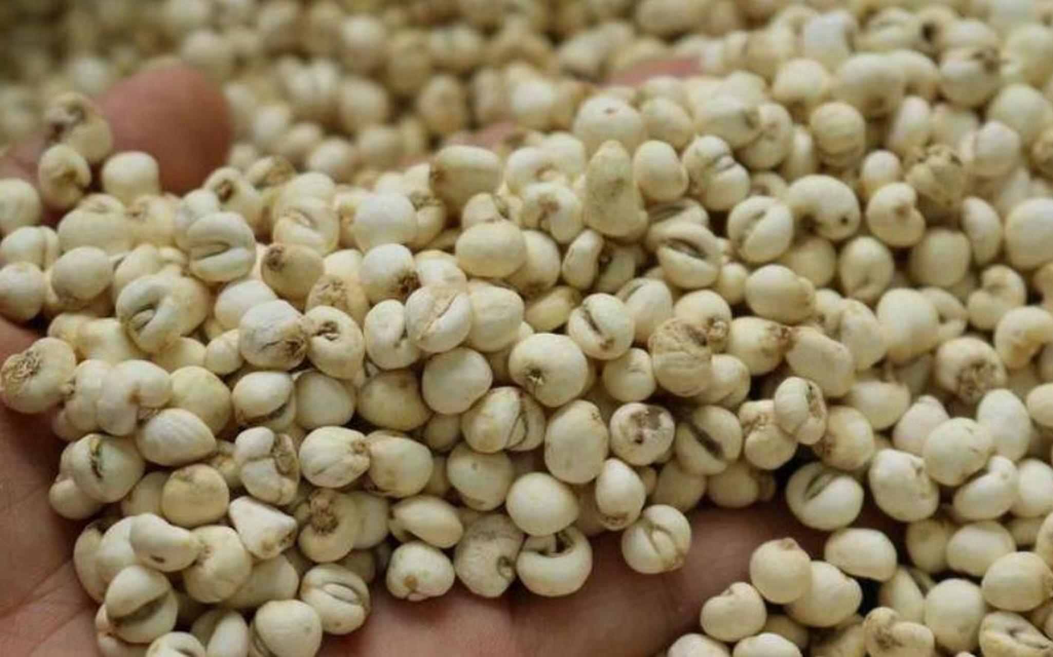 三味中药,软坚散结,清热解郁,结节通通消失不见了!