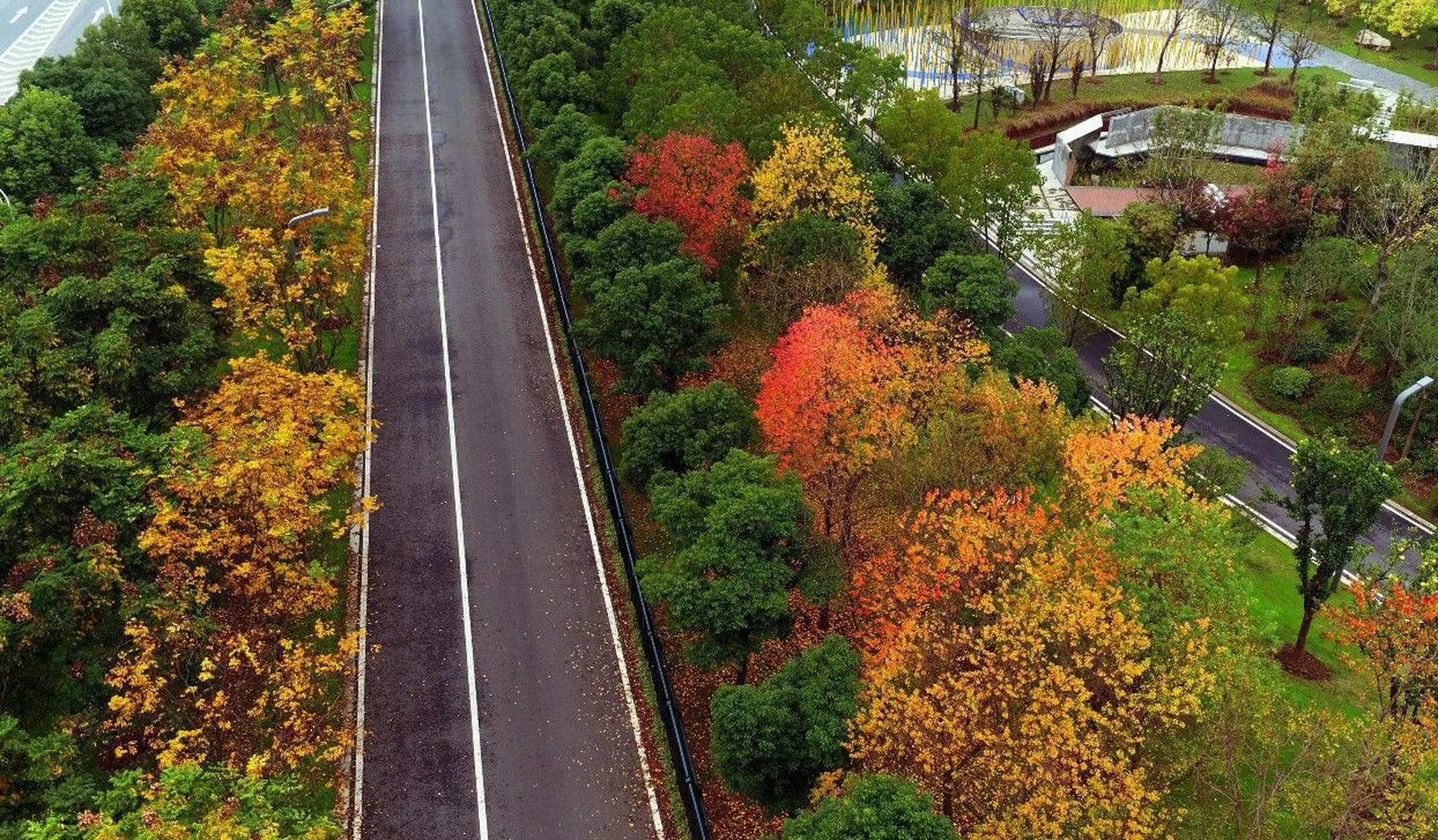 武汉张公堤绿道,骑友们肯定知道张公堤绿道,这是骑友褒奖最多的绿道.