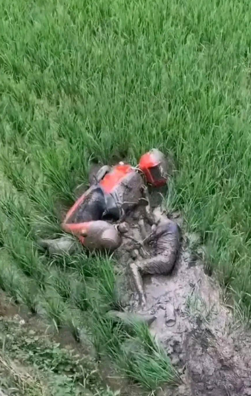 惊现奥特曼坠机田间