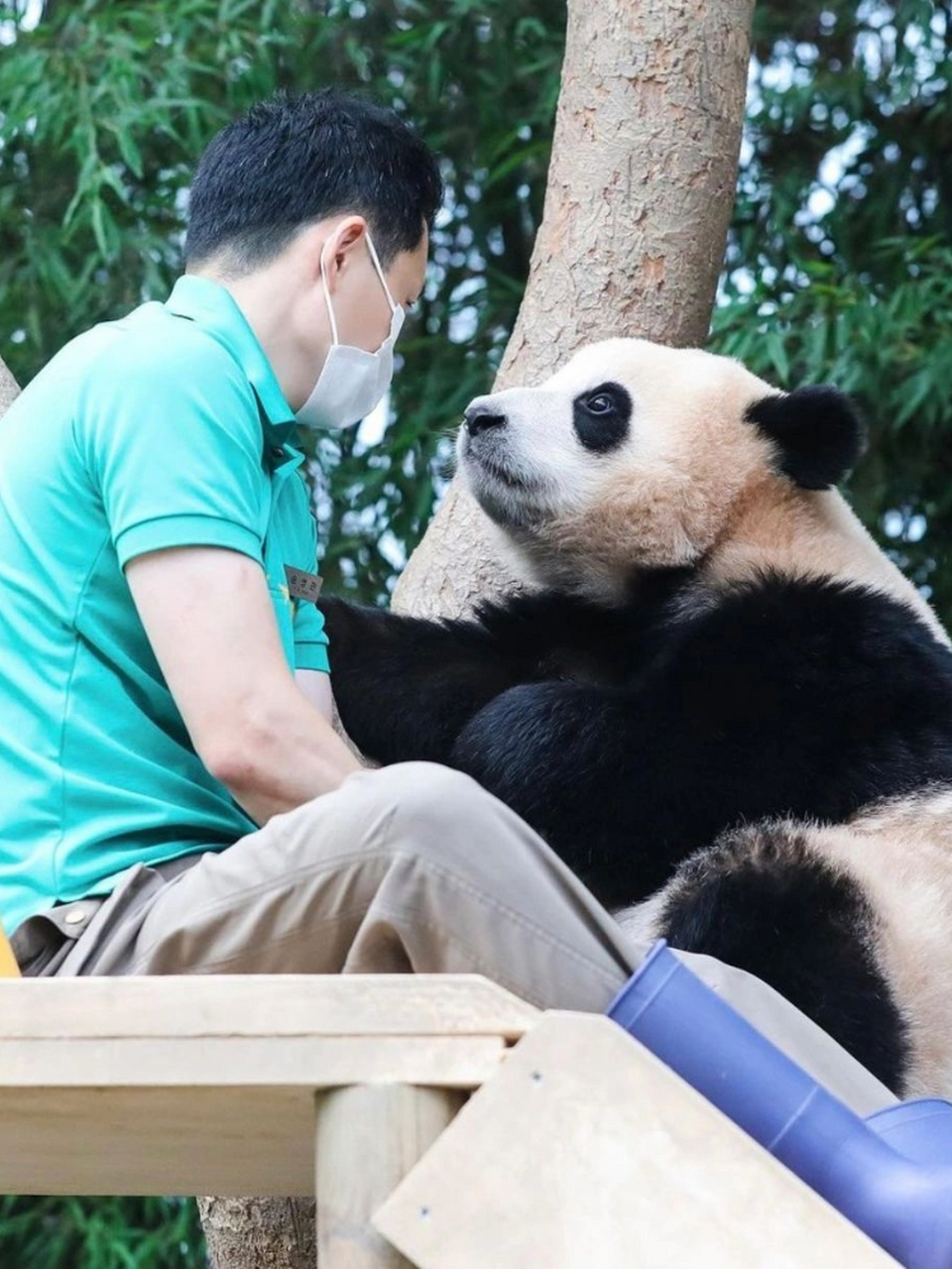 甜不过五秒  宋三岁真的好爱惹福宝明明画风都是甜甜蜜蜜的  下一秒宋