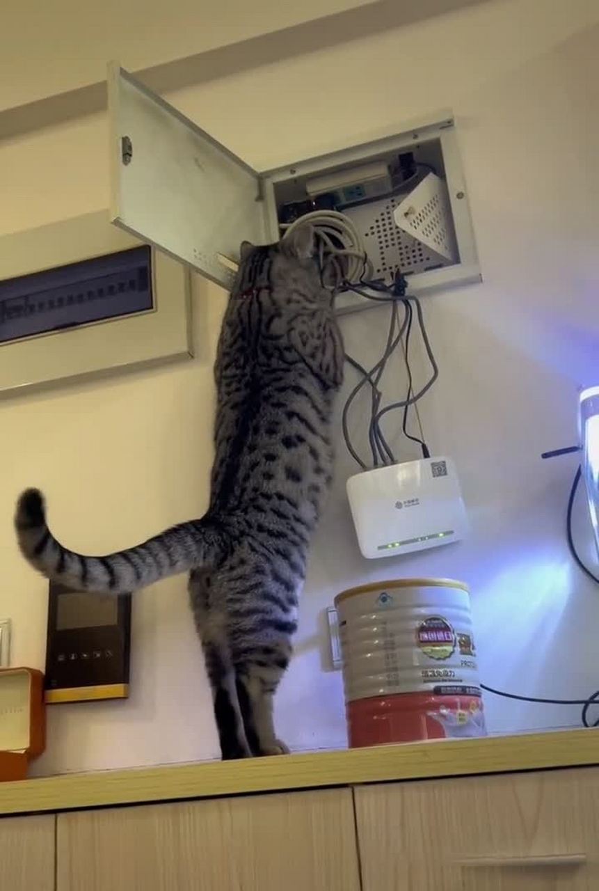 不知道毛大师的技术怎么样?[得意]