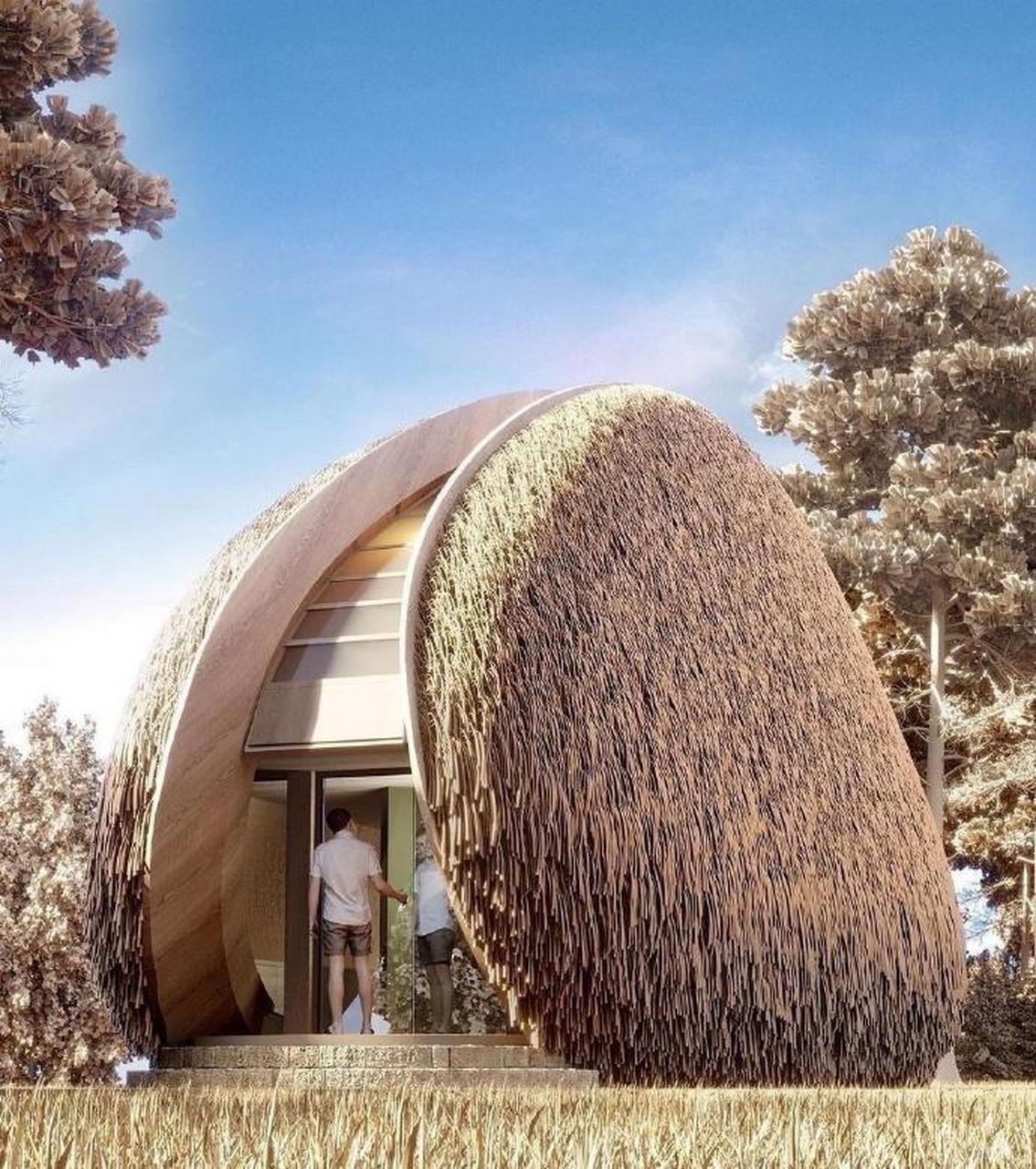 梦幻贝壳屋|简直就是社恐的福音    外国设计师的脑洞大开,回归自然的