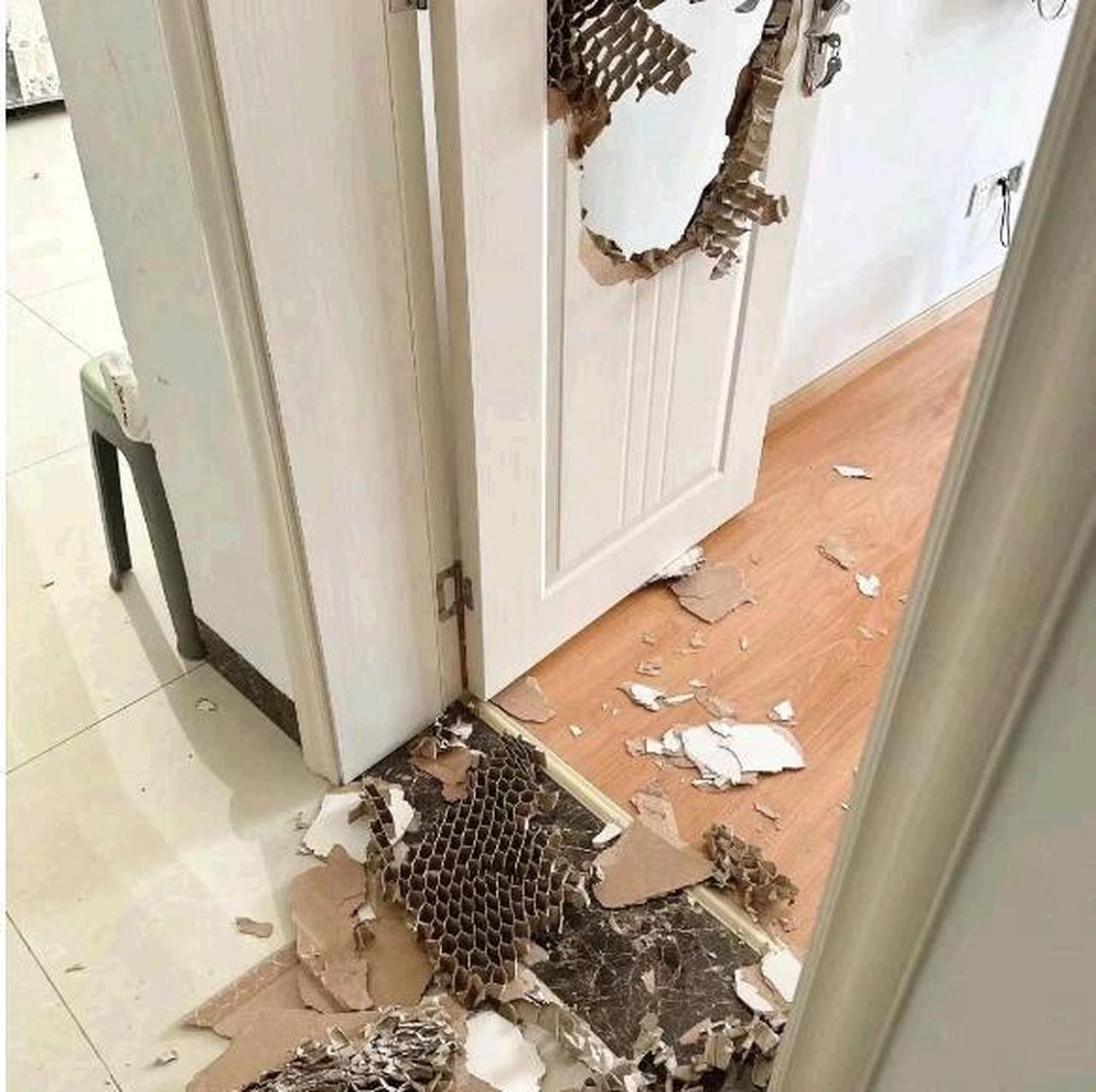 今天走的很急,没停下突然刹车撞门了,门是这样的[抠鼻]