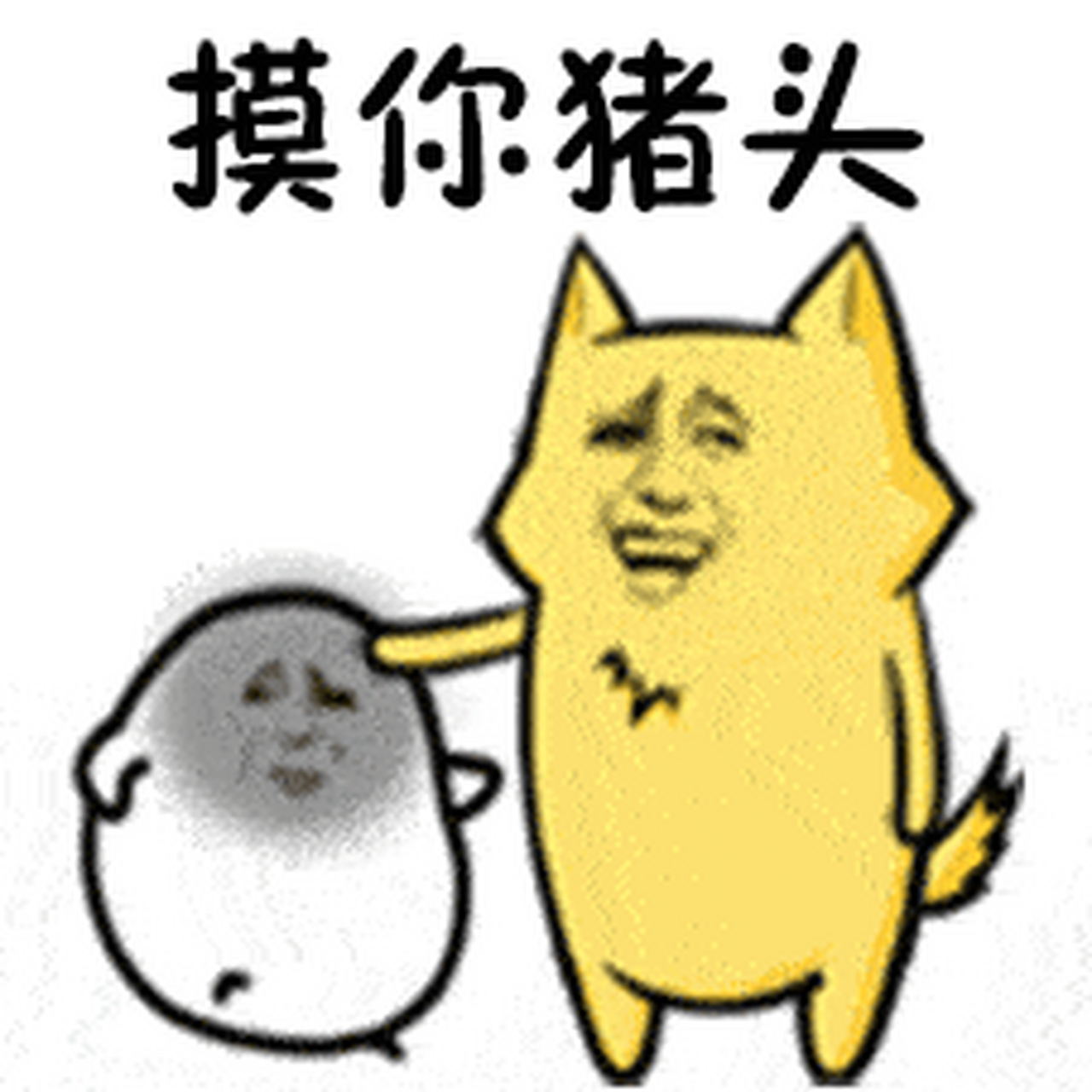 搞笑gif;第一张图摸你猪头
