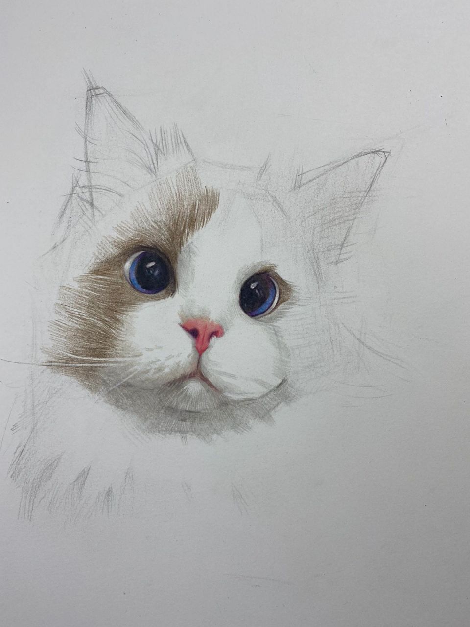 彩铅猫咪(带步骤)  很久没发彩铅画了, 慢慢淡出彩铅圈, 大家且行且