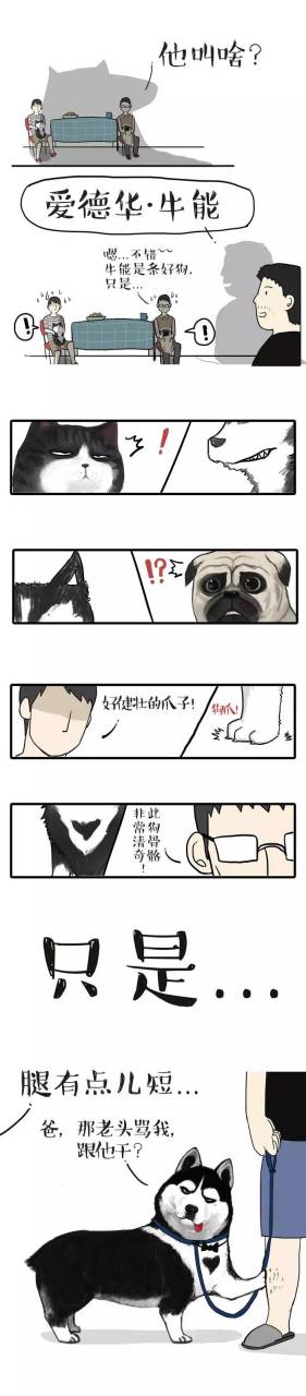 初次见面,我是大名鼎鼎的,爱德华·牛能!#吾皇巴扎黑# #吾皇万睡