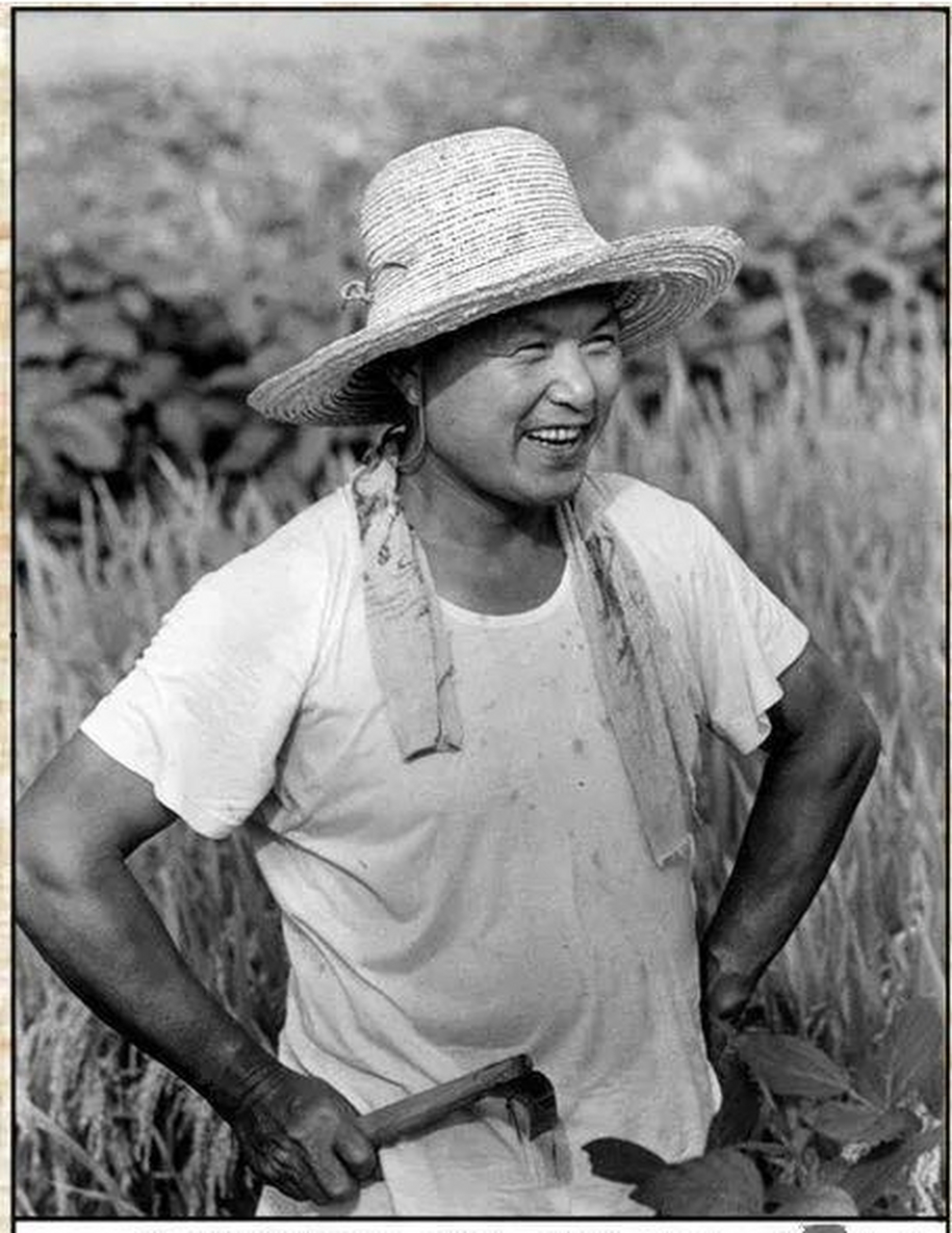 19世纪70年代,几位县委书记到农村与农民一起工作!