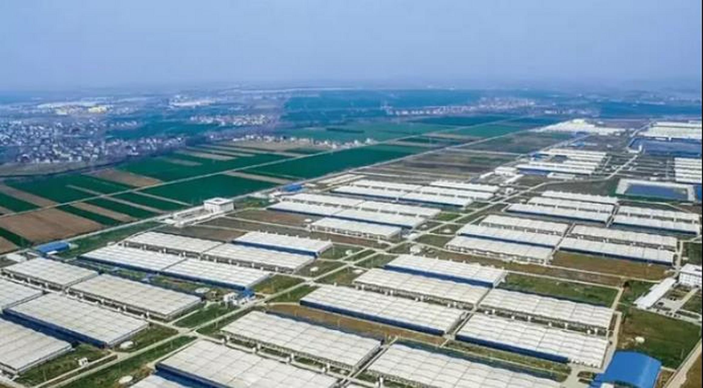中国拥有全球最大的养猪场,已超过美国,每年能产出210万头猪,排粪量可