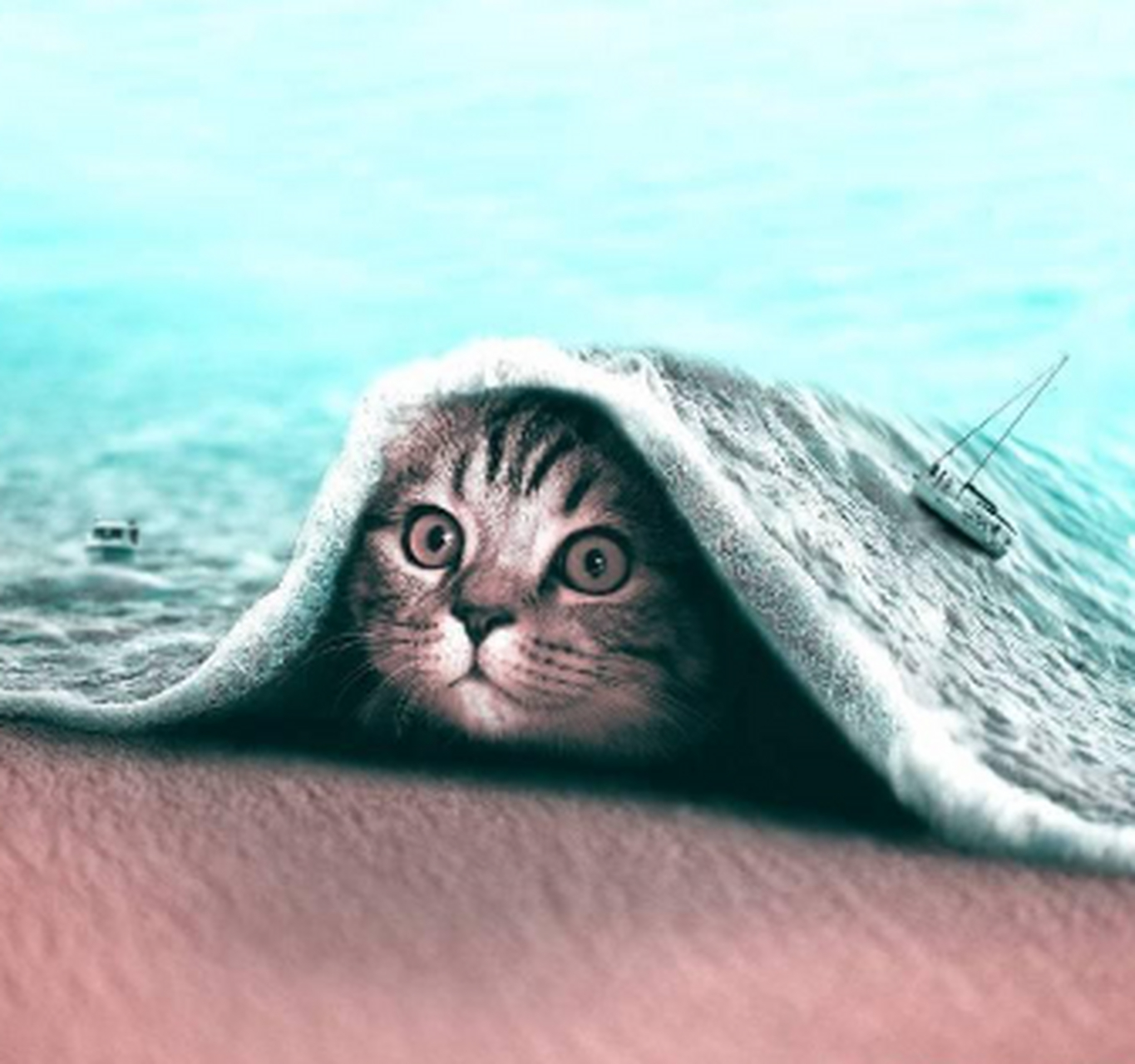 网友:神奇的动物 奇思妙想