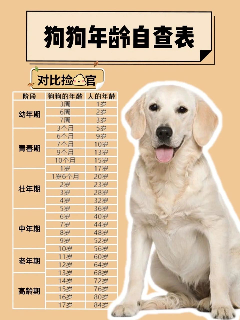 狗狗年龄自查|准备养犬可以来查收了7515