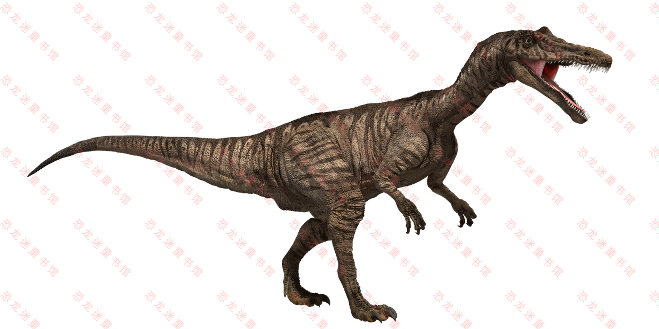 恐龙# 每天一只小恐龙!