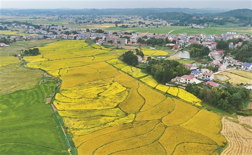 益阳灰山港镇图片