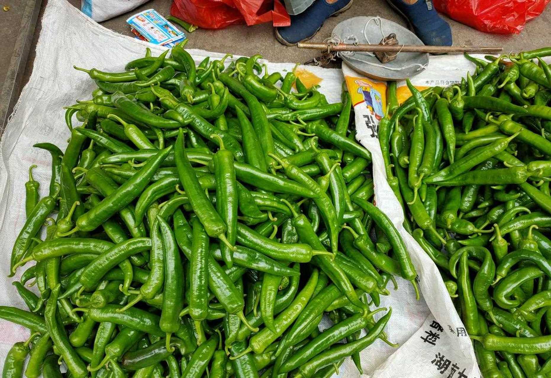 初,湖南菜市场里就是辣椒的天下,又嫩又绿,吃起来香而不辣,叫人怎能不