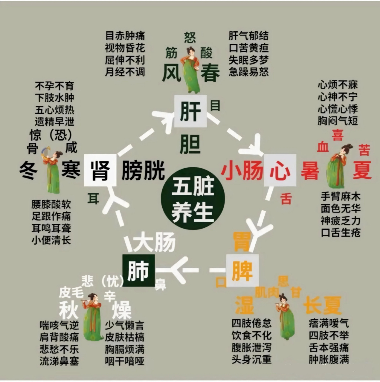 一张图诠释五脏,六腑,五味,七情,四季的关系